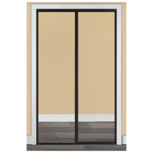 Mirrored Black Trim Sliding Bypass Door