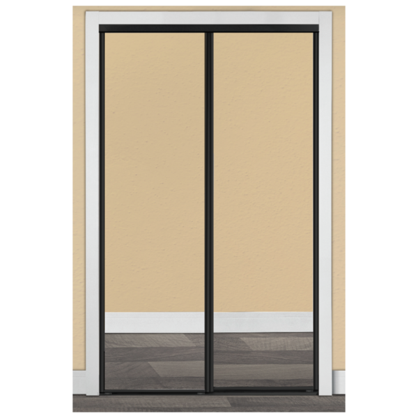 Mirrored Black Trim Sliding Bypass Door