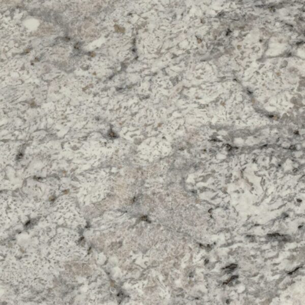 argento_counter_detail