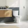 Champion Two-Piece 1.28 gpf/4.8 Lpf Chair Height Round Front Toilet with Seat