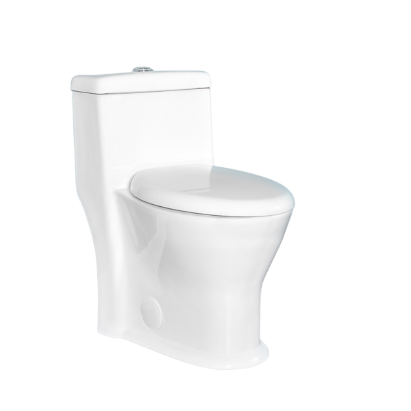ONE PIECE TOILET SKIRTED DUAL FLUSH ROUND