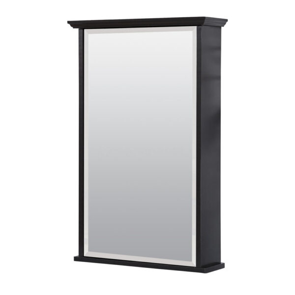 Zenna Home 16 in. × 25 in. Espresso Surface Mount Medicine Cabinet