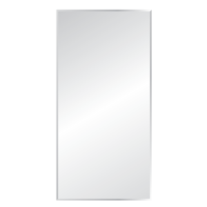 60 in. X 30 in. Beveled Edge Mirror