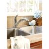 Moen Renzo Stainless Pullout Kitchen Faucet