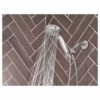 Attune 6-Spray Patterns, 4 in. Wall Mount Handheld Showerhead in Chrome